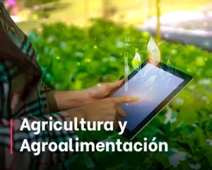 Agricultura y Agroalimentación