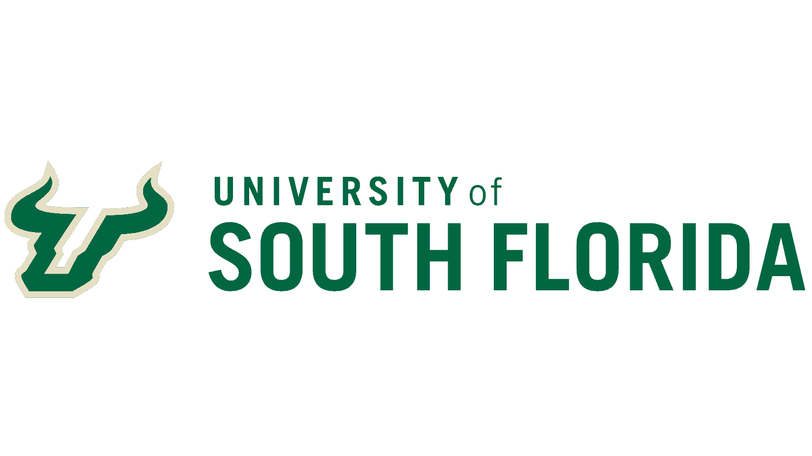 University of South Florida - Global Link Studies